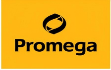 693a3a376cee8.png 34-images.png