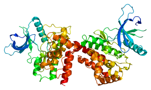 Protein_JAK2_PDB_2b7a.png