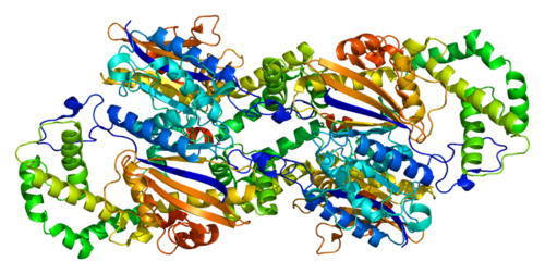 500px-Protein_ACPP_PDB_1cvi.png
