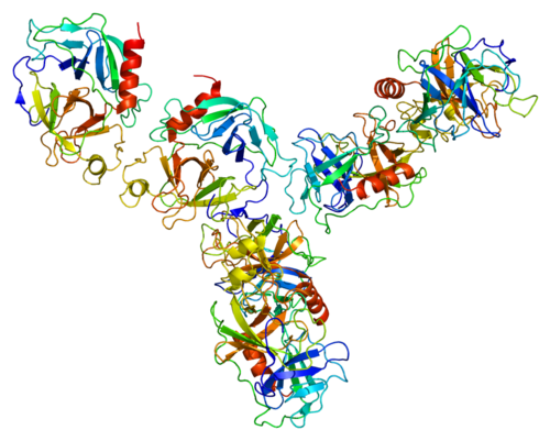 Protein_GZMA_PDB_1op8.png