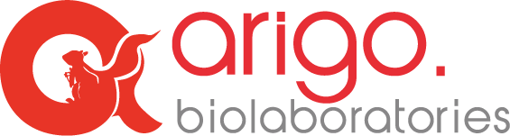 Arigo-Logo.png