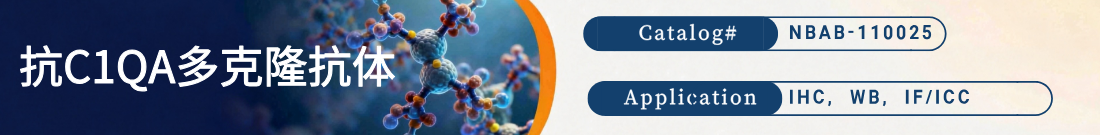 抗C1QA抗体