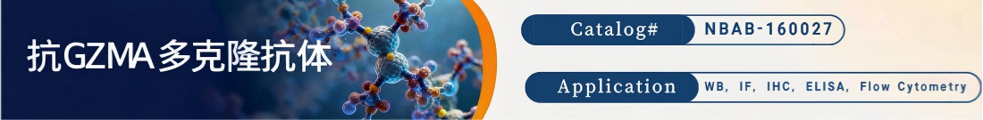抗GZMA抗体