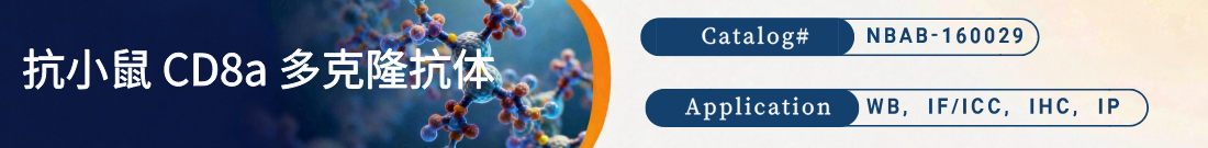 抗小鼠 CD8a抗体