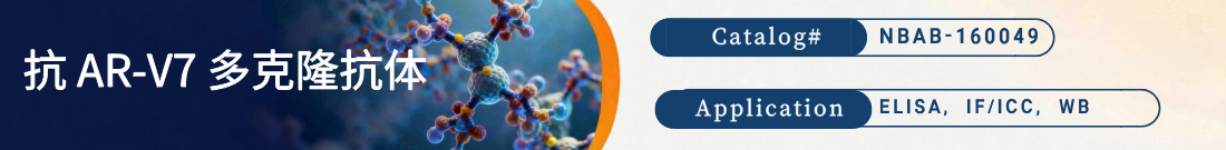 抗AR-V7抗体
