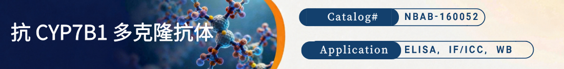 抗CYP7B1抗体