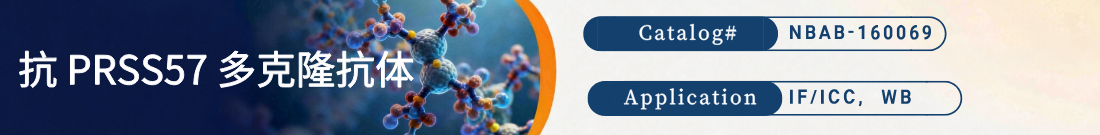 抗PRSS57抗体