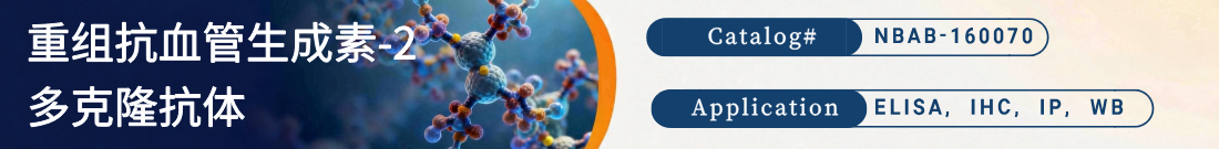 重组抗血管生成素-2（Angiopoietin-2）抗体