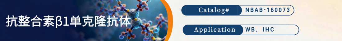 抗Integrin Beta 1抗体