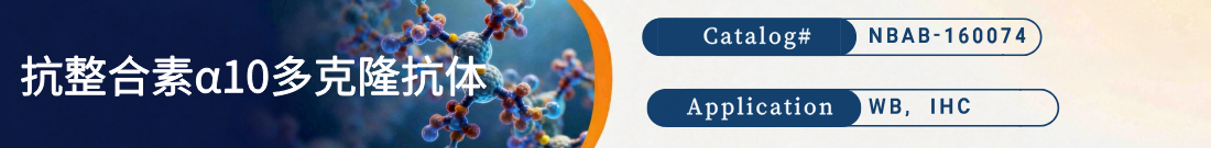 抗MouseIntegrin alpha 10抗体