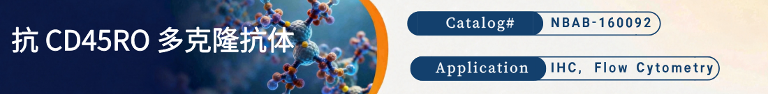 抗CD45RO抗体