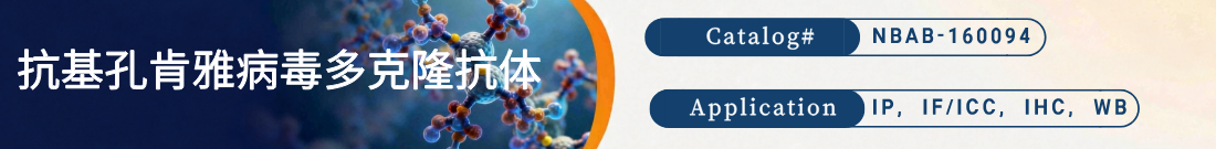 抗Chikungunya Virus, CHIKV抗体