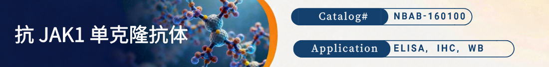 抗JAK1抗体 抗JAK1抗体