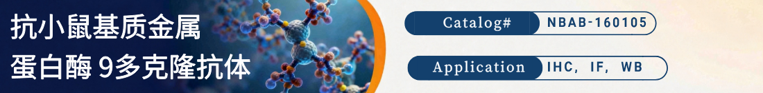 抗MMP9抗体 抗MMP9抗体