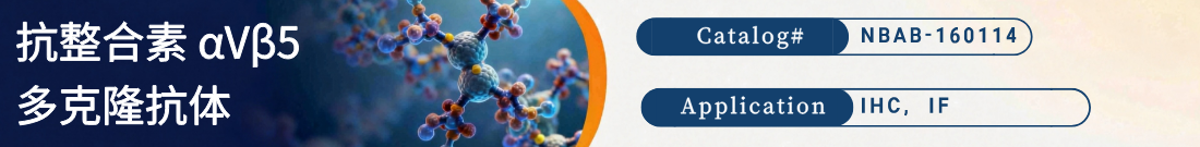 抗整合素 αVβ5抗体