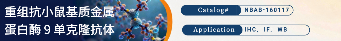 抗小鼠MMP9抗体