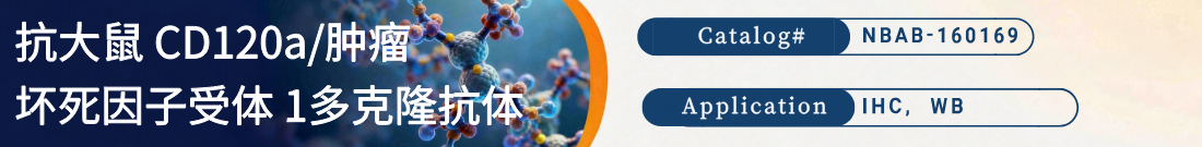 抗CD120a/TNFR1抗体 抗CD120a/TNFR1抗体