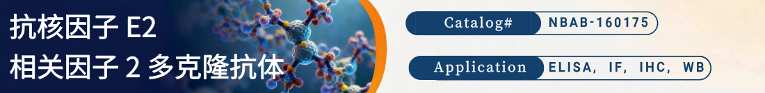 抗免疫应答基因 1抗体