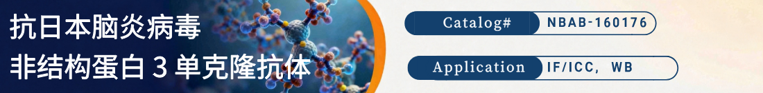 抗日本脑炎病毒非结构蛋白 3抗体 抗日本脑炎病毒非结构蛋白 3抗体