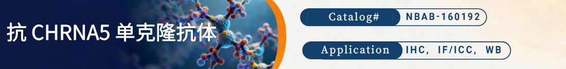 抗CHRNA5抗体 抗CHRNA5抗体