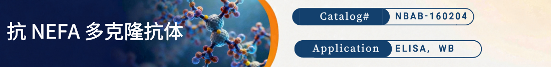 抗NEFA抗体