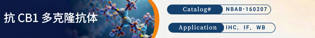 抗CB1抗体
