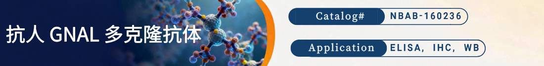 抗人GNAL抗体