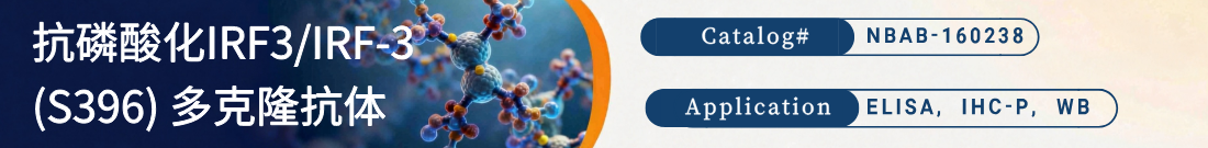 抗磷酸化IRF3/IRF-3 (S396) 多克隆抗体