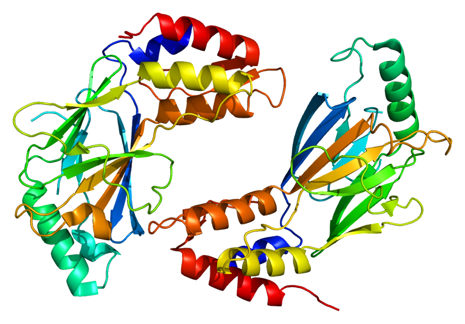 Protein_IRF3_PDB_1j2f (1).png