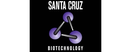 Santa Cruz Biotechnology