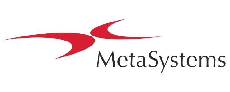 Metasystems