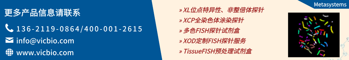 Metasystems