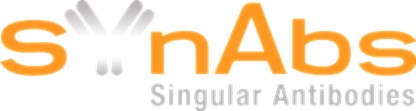 SYnAbs