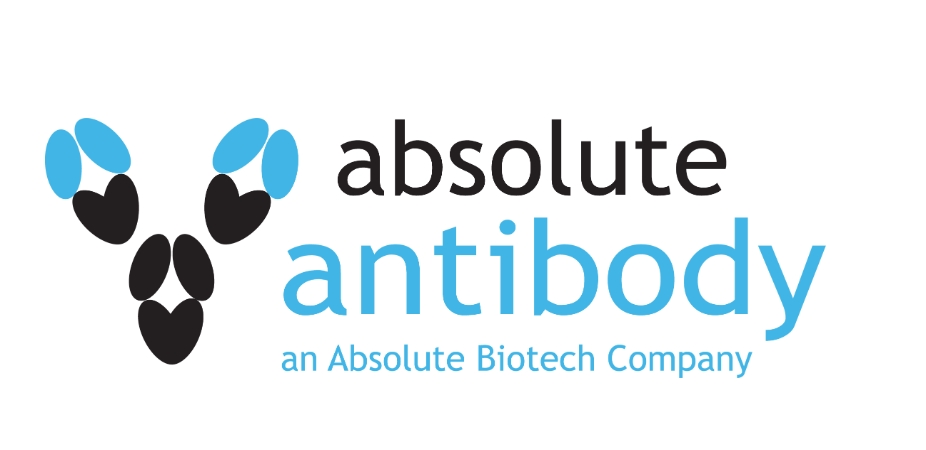 Absolute Antibody