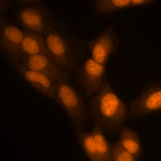8444660d-b8da-4827-b16e-c73273ca0ab4.png