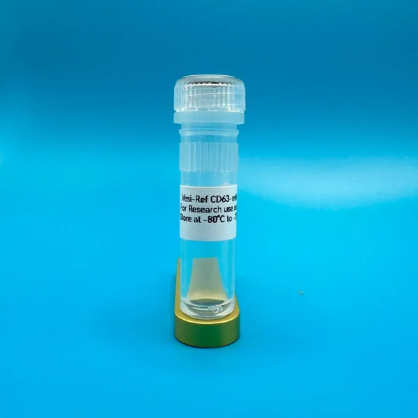 Vesi-Ref CD63-mNG