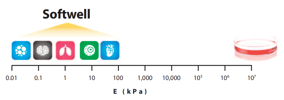 edcb20f9-9185-4a07-b36c-824bb687728d.png