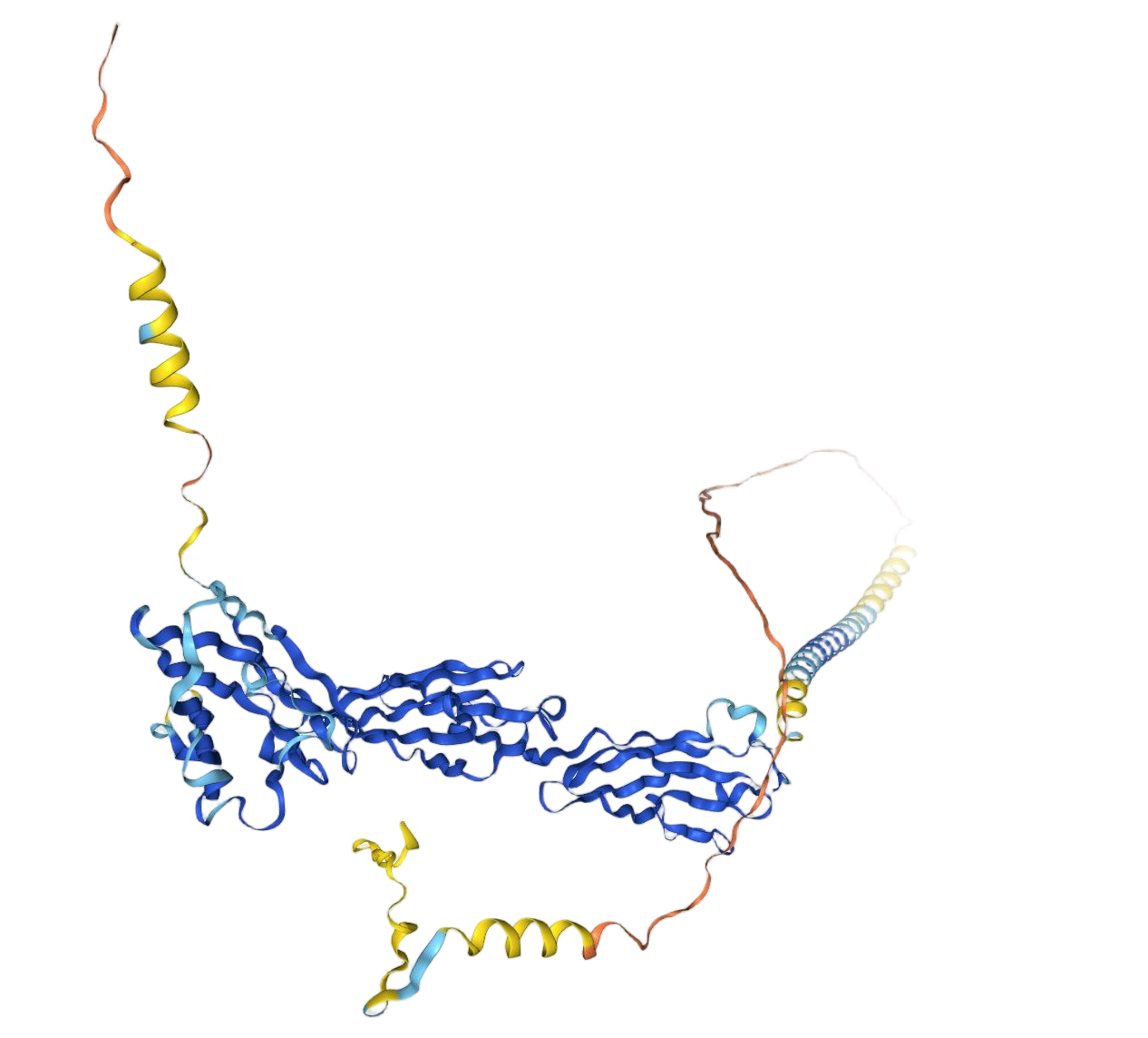 NBST-241002 Nectin-4.png