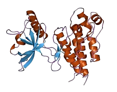 78d5f1c5-ea40-4e20-a57f-4d0bac78d6b1.png