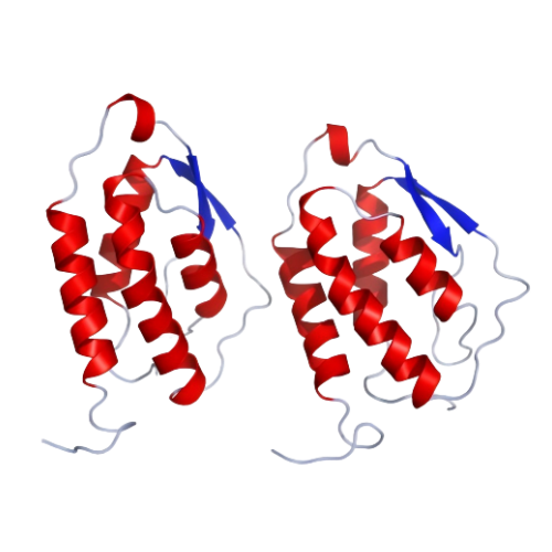 重组猪GM-CSF蛋白 | Recombinant Porcine GM-CSF, 34-193 aa, His-tag