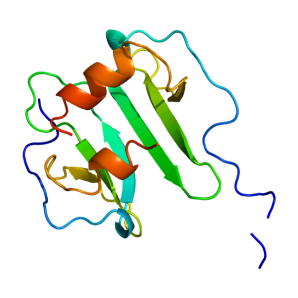重组人CXCL12蛋白 | Recombinant Human CXCL12/SDF1 Protein
