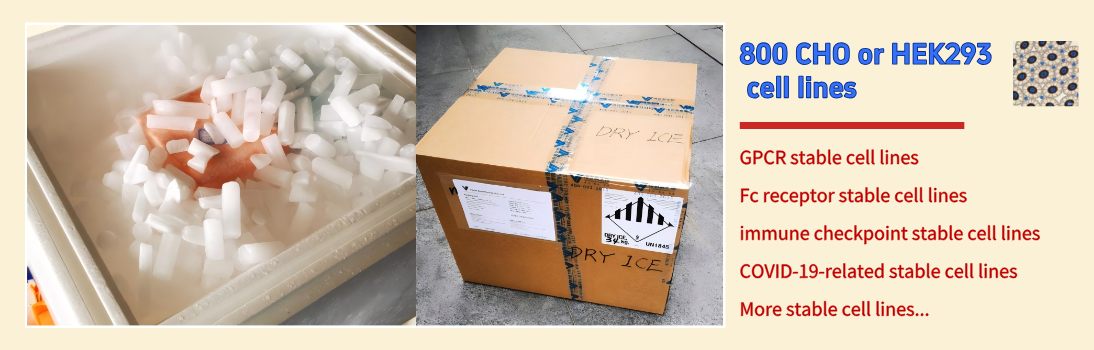 1765878206680473.png 未命名.png