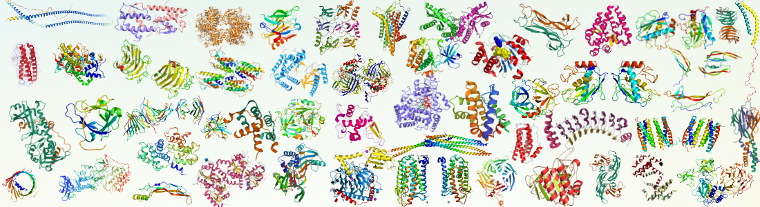 蛋白结构汇总.png