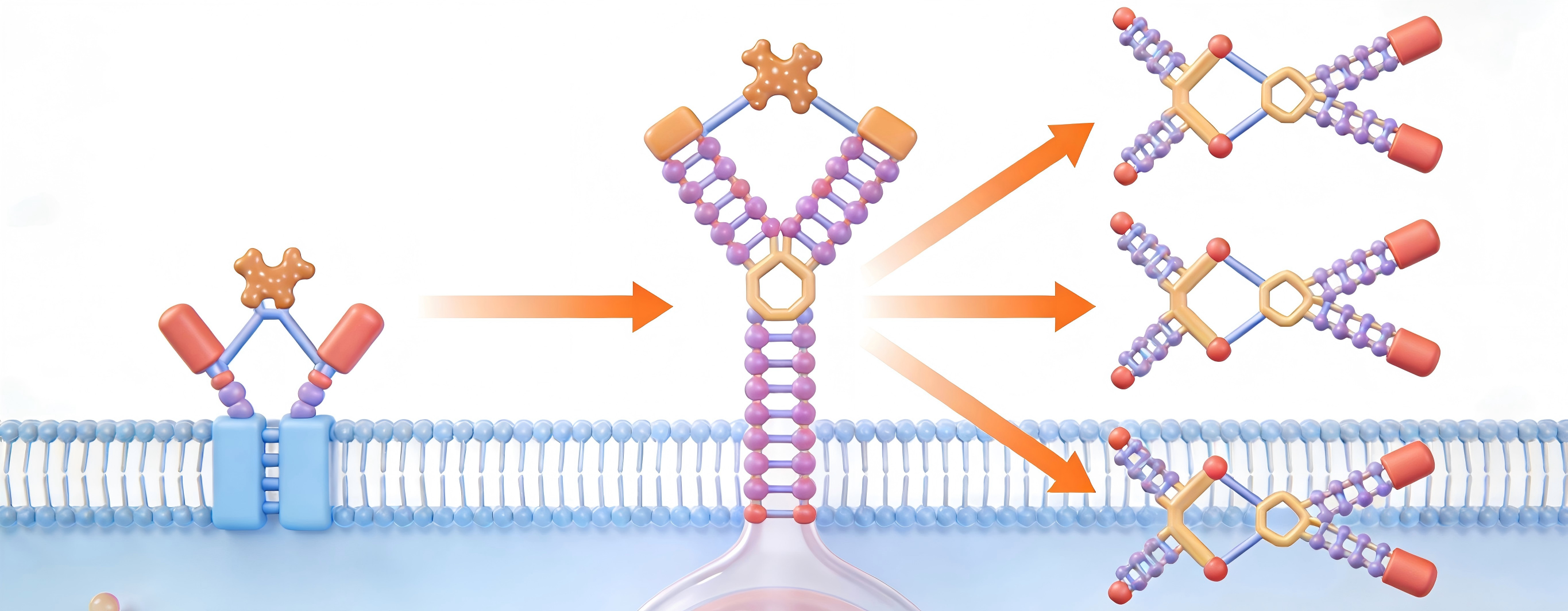 生成特定图片 (2).png