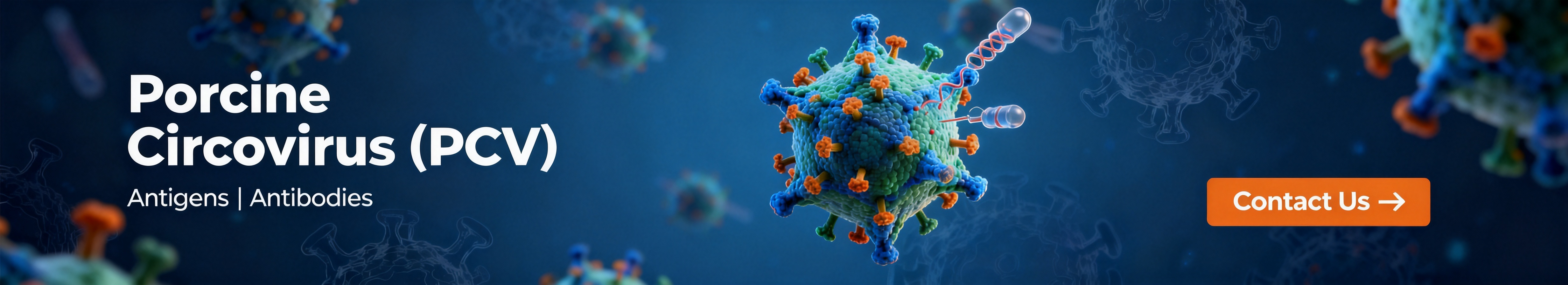 Porcine Circovirus (PCV).jpg