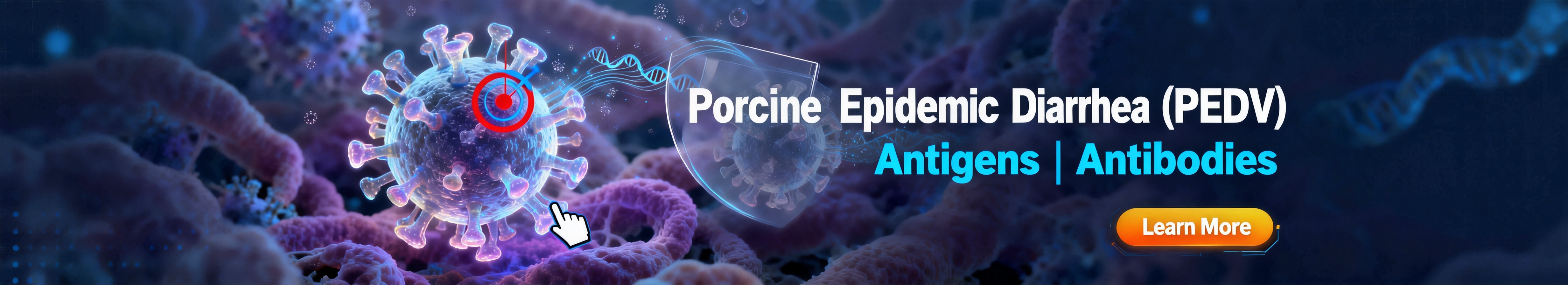 Porcine Epidemic Diarrhea Virus.jpg