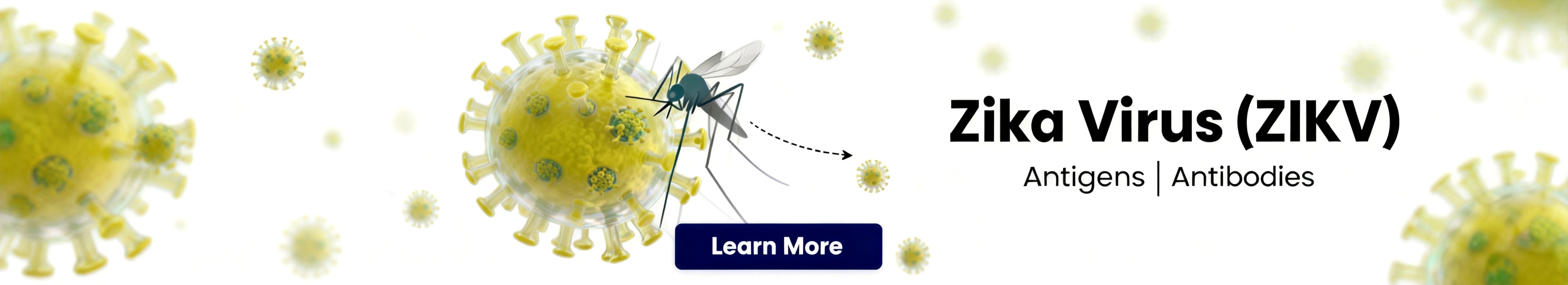 Zika Virus (ZIKV).jpg