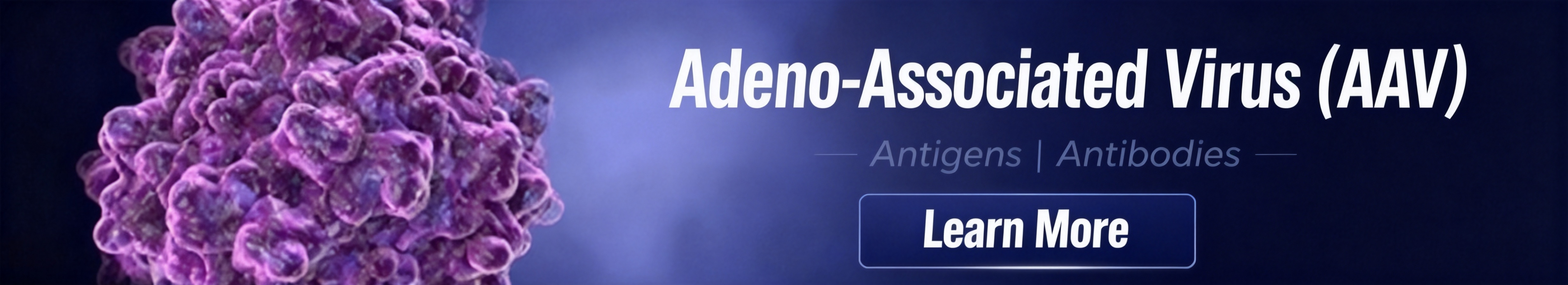 Adeno-Associated Virus (AAV).jpg