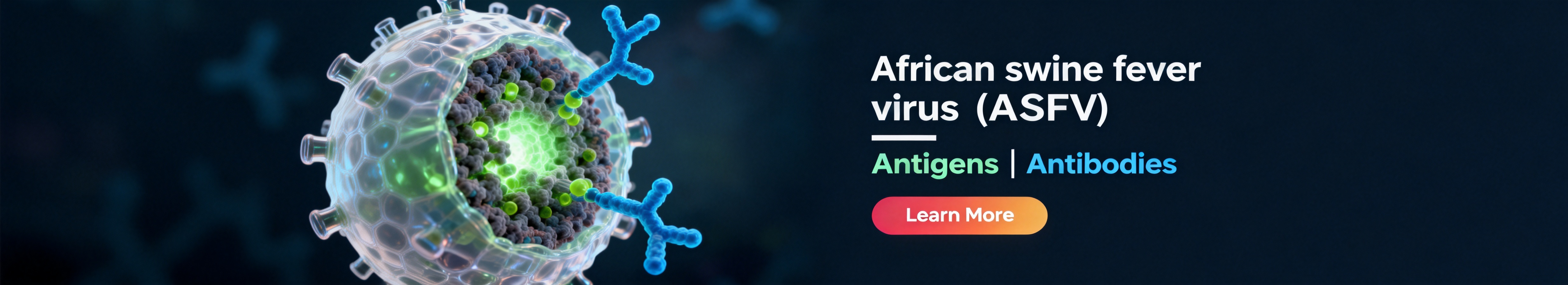 African swine fever virus (ASFV).jpg