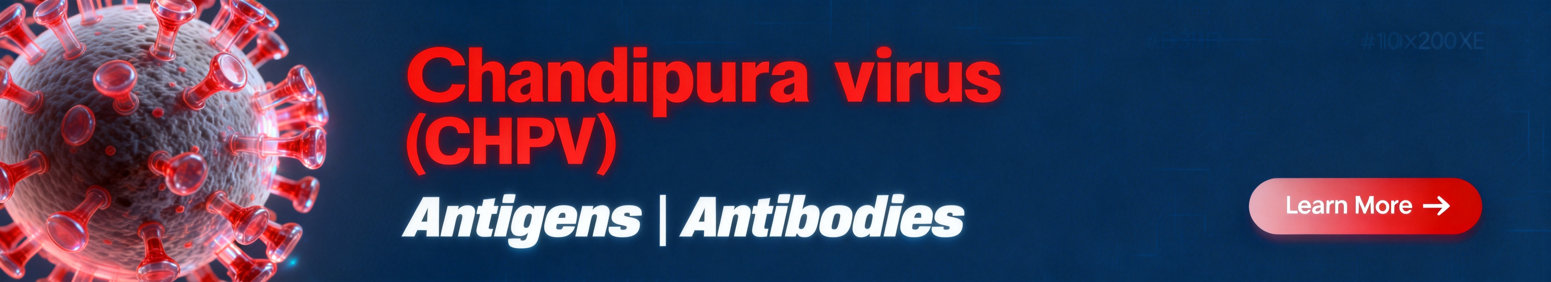 Chandipura virus（CHPV）.jpg